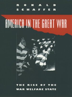 cover image of America in the Great War